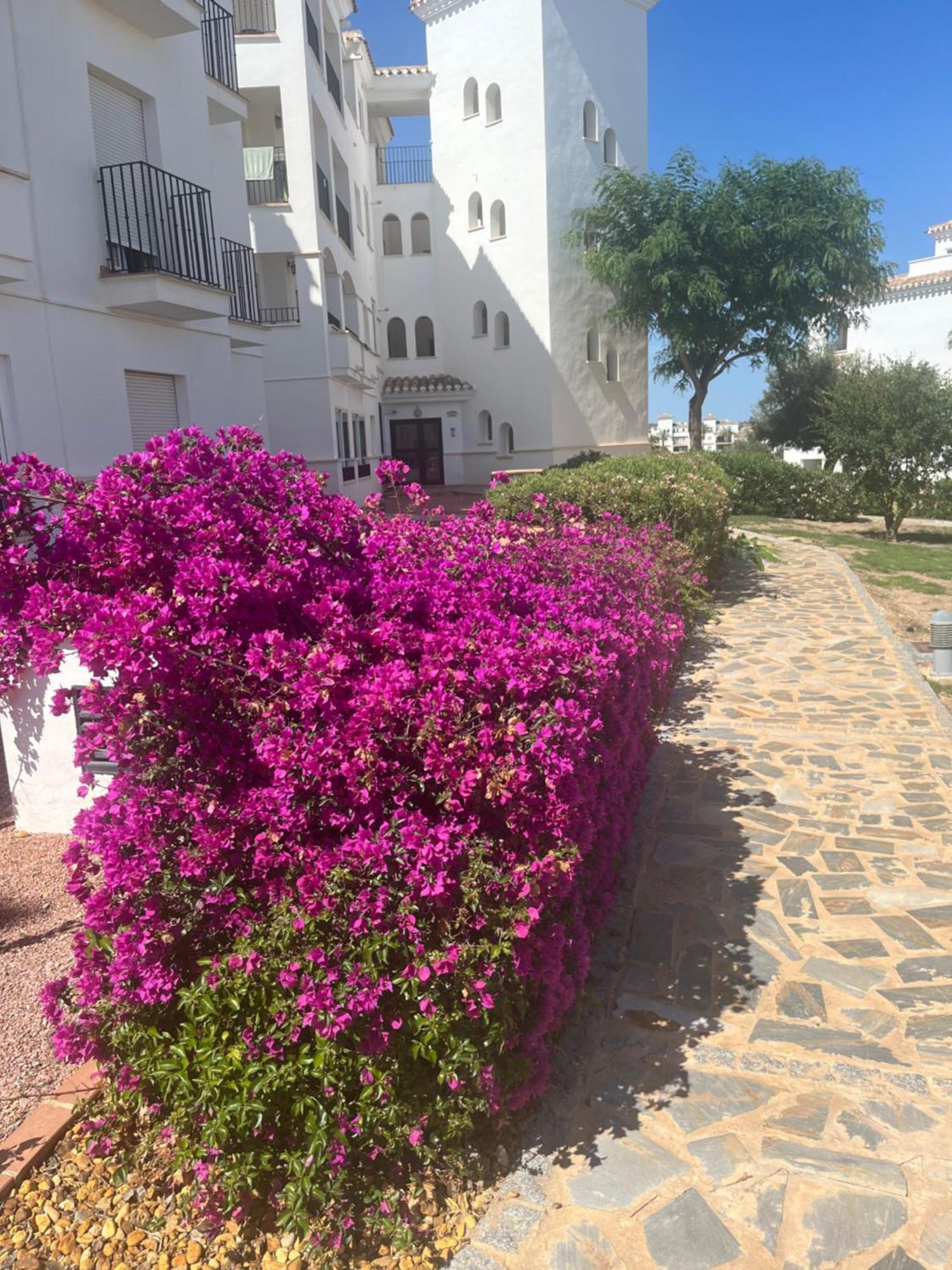 La Casa Rosita, Hacienda Riquelme Golf Resort Sucina Múrcia Exterior foto